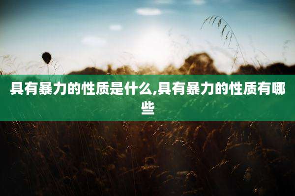 具有暴力的性质是什么,具有暴力的性质有哪些