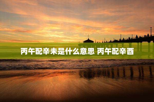 丙午配辛未是什么意思 丙午配辛酉