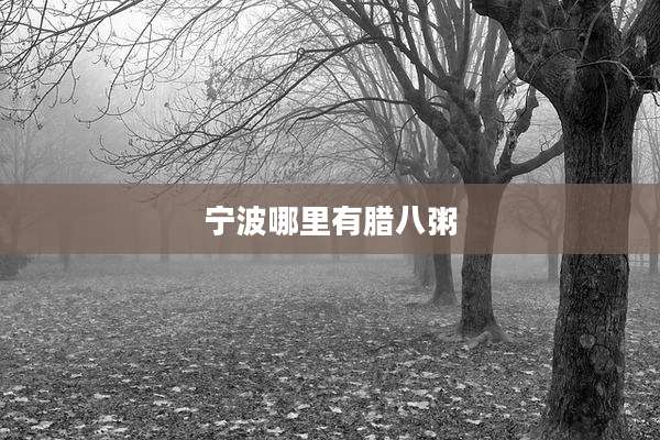 宁波哪里有腊八粥