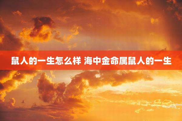 鼠人的一生怎么样 海中金命属鼠人的一生