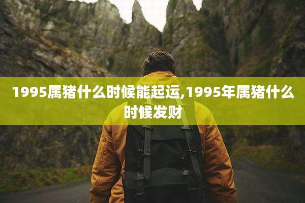 1995属猪什么时候能起运,1995年属猪什么时候发财