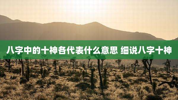 八字中的十神各代表什么意思 细说八字十神