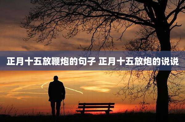 正月十五放鞭炮的句子 正月十五放炮的说说