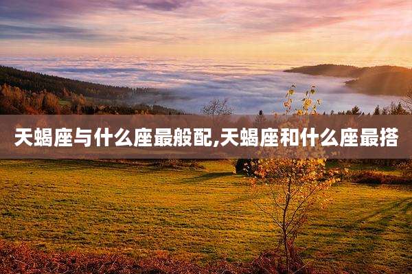 天蝎座与什么座最般配,天蝎座和什么座最搭