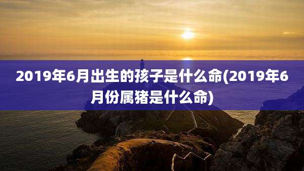 2019年6月出生的孩子是什么命(2019年6月份属猪是什么命)
