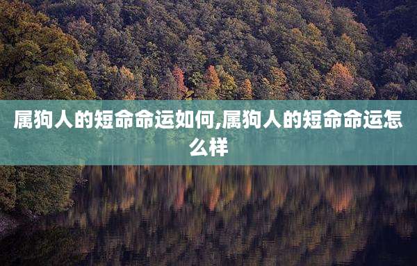 属狗人的短命命运如何,属狗人的短命命运怎么样