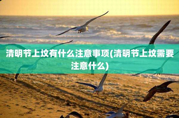 清明节上坟有什么注意事项(清明节上坟需要注意什么)