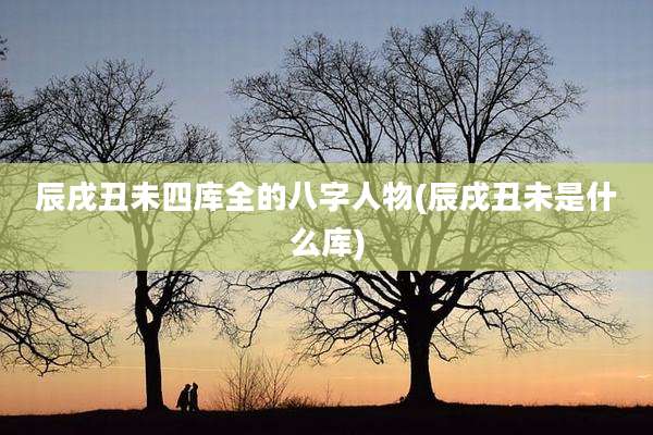 辰戌丑未四库全的八字人物(辰戌丑未是什么库)