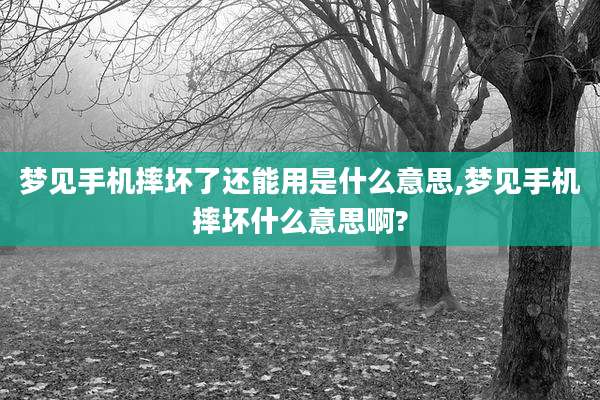 梦见手机摔坏了还能用是什么意思,梦见手机摔坏什么意思啊?