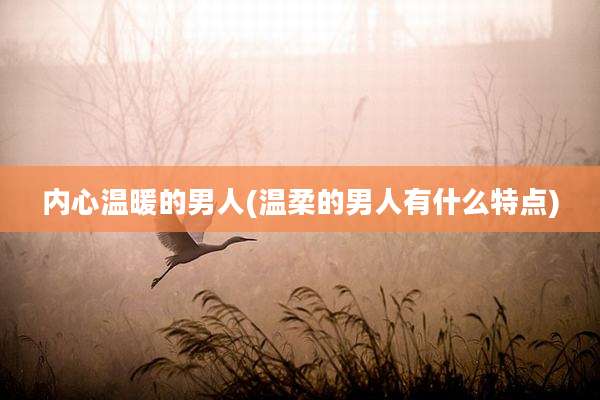 内心温暖的男人(温柔的男人有什么特点)
