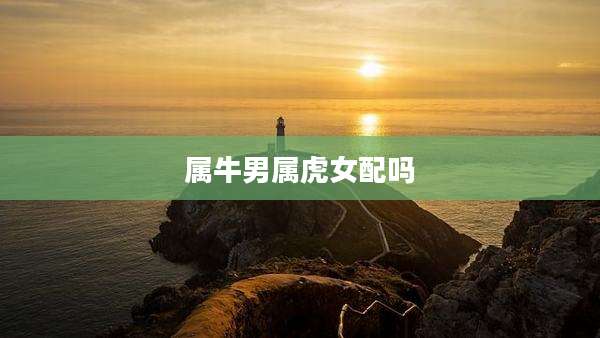属牛男属虎女配吗