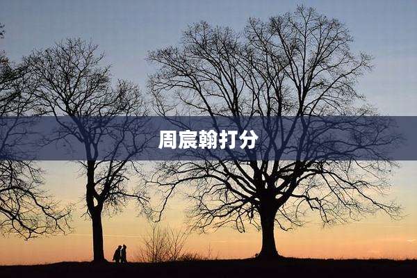 周宸翰打分
