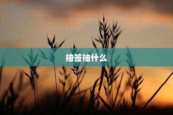抽签抽什么