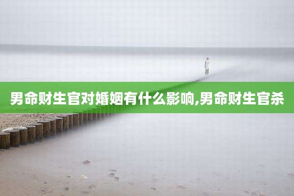 男命财生官对婚姻有什么影响,男命财生官杀
