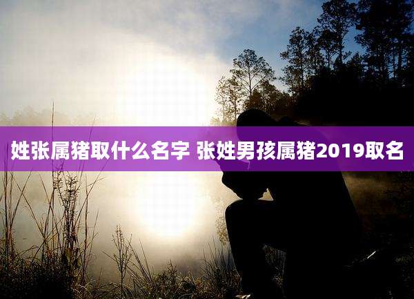 姓张属猪取什么名字 张姓男孩属猪2019取名