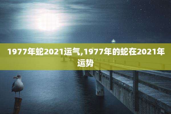 1977年蛇2021运气,1977年的蛇在2021年运势
