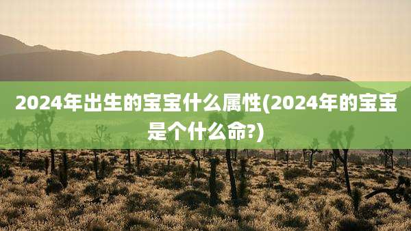 2024年出生的宝宝什么属性(2024年的宝宝是个什么命?)