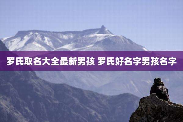 罗氏取名大全最新男孩 罗氏好名字男孩名字
