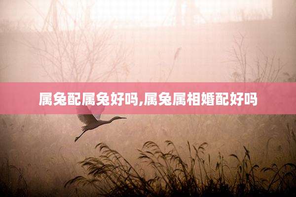 属兔配属兔好吗,属兔属相婚配好吗
