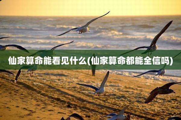 仙家算命能看见什么(仙家算命都能全信吗)