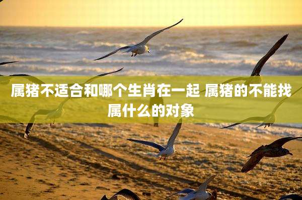 属猪不适合和哪个生肖在一起 属猪的不能找属什么的对象