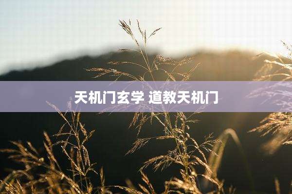 天机门玄学 道教天机门