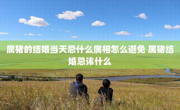 属猪的结婚当天忌什么属相怎么避免 属猪结婚忌讳什么