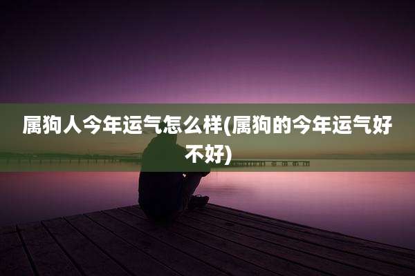 属狗人今年运气怎么样(属狗的今年运气好不好)