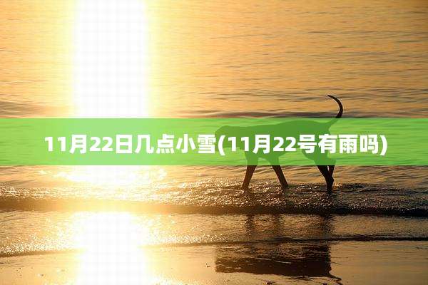 11月22日几点小雪(11月22号有雨吗)