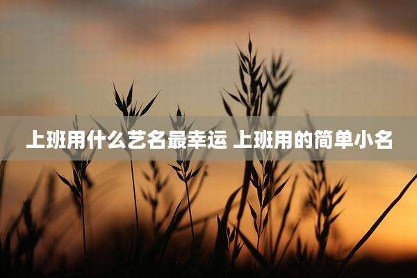 上班用什么艺名最幸运 上班用的简单小名