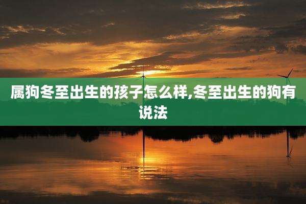 属狗冬至出生的孩子怎么样,冬至出生的狗有说法