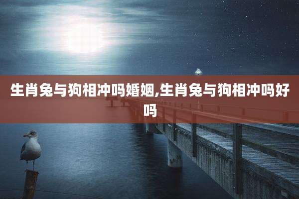 生肖兔与狗相冲吗婚姻,生肖兔与狗相冲吗好吗