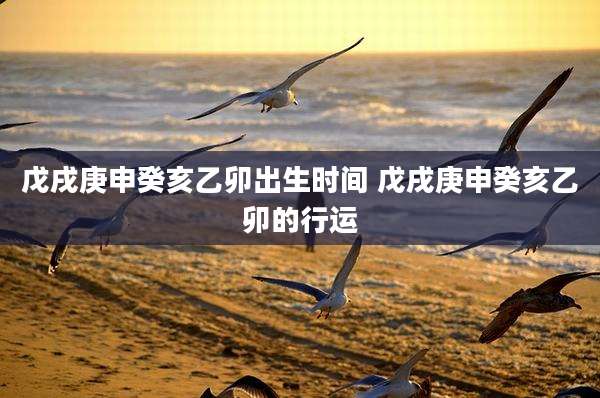 戊戌庚申癸亥乙卯出生时间 戊戌庚申癸亥乙卯的行运