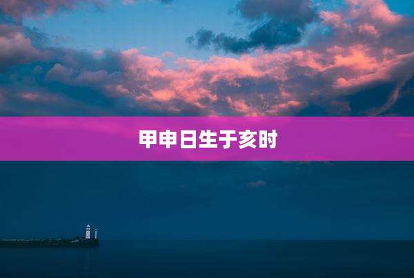 甲申日生于亥时