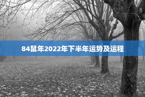 84鼠年2022年下半年运势及运程