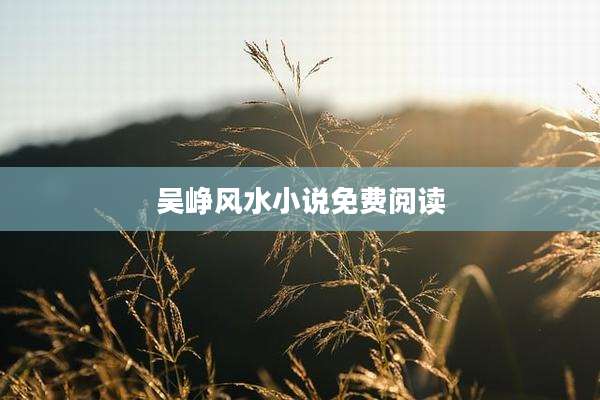吴峥风水小说免费阅读