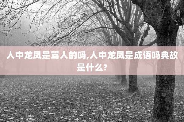 人中龙凤是骂人的吗,人中龙凤是成语吗典故是什么?