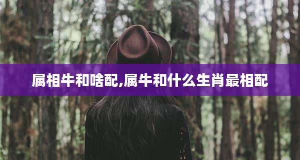 属相牛和啥配,属牛和什么生肖最相配