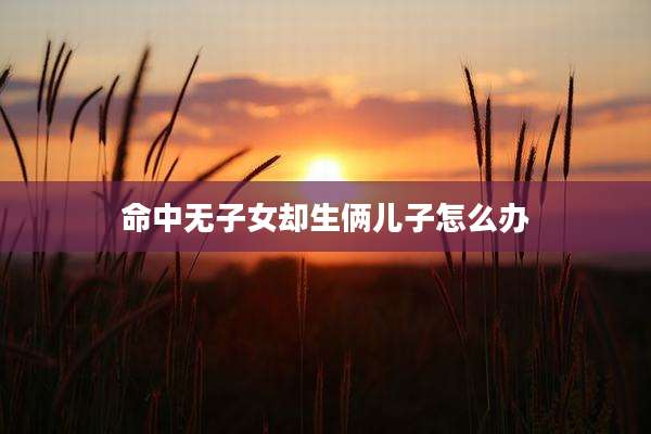 命中无子女却生俩儿子怎么办