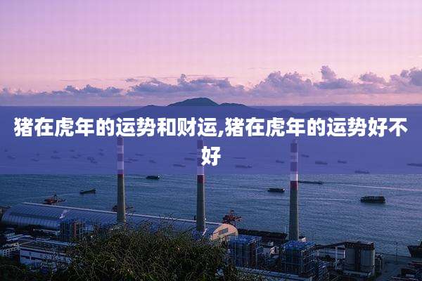 猪在虎年的运势和财运,猪在虎年的运势好不好
