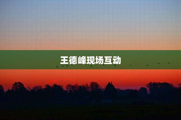 王德峰现场互动