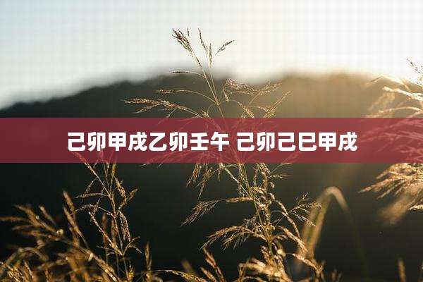 己卯甲戌乙卯壬午 己卯己巳甲戌