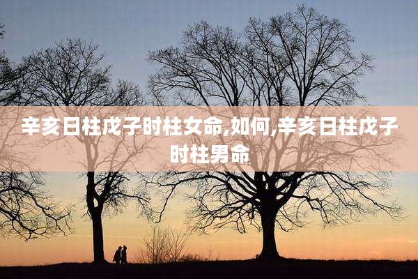 辛亥日柱戊子时柱女命,如何,辛亥日柱戊子时柱男命