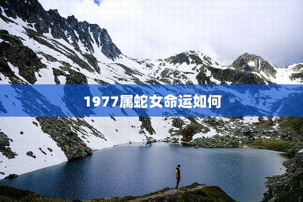 1977属蛇女命运如何