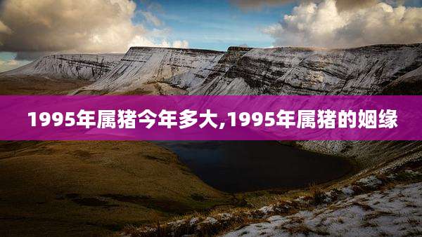 1995年属猪今年多大,1995年属猪的姻缘