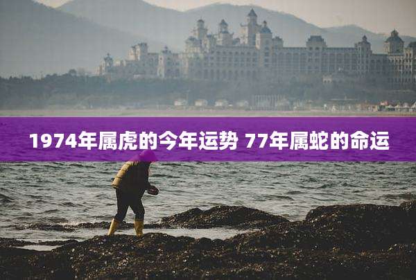 1974年属虎的今年运势 77年属蛇的命运