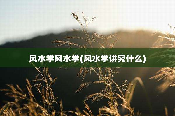 风水学风水学(风水学讲究什么)