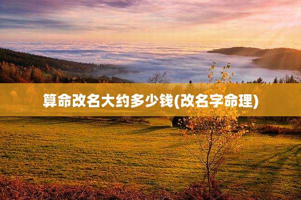 算命改名大约多少钱(改名字命理)