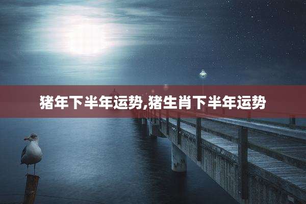猪年下半年运势,猪生肖下半年运势