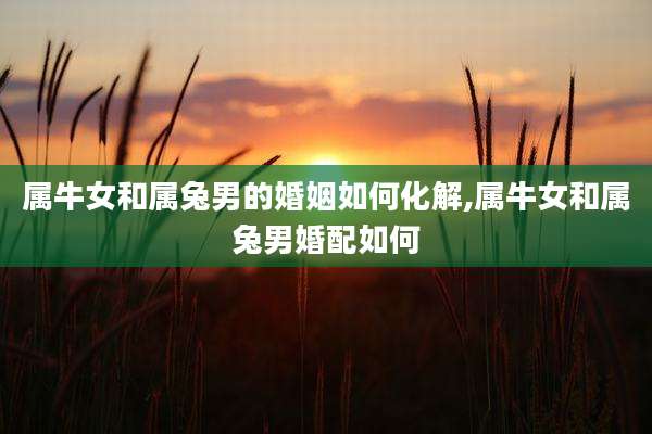 属牛女和属兔男的婚姻如何化解,属牛女和属兔男婚配如何